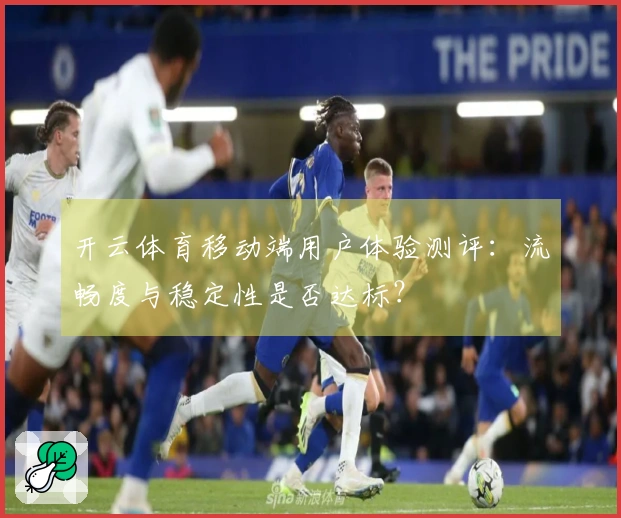 开云体育移动端用户体验测评：流畅度与稳定性是否达标？
